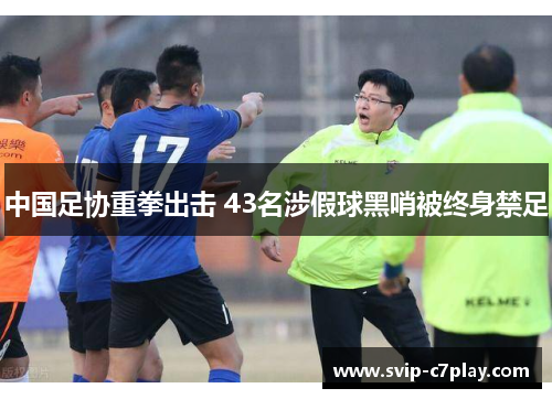 中国足协重拳出击 43名涉假球黑哨被终身禁足 中国足协重拳出击 43名涉假球黑哨被终身禁足