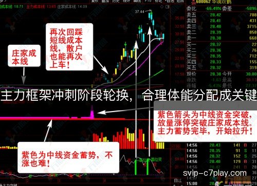 主力框架冲刺阶段轮换,合理体能分配成关键 主力框架冲刺阶段轮换,合理体能分配成关键